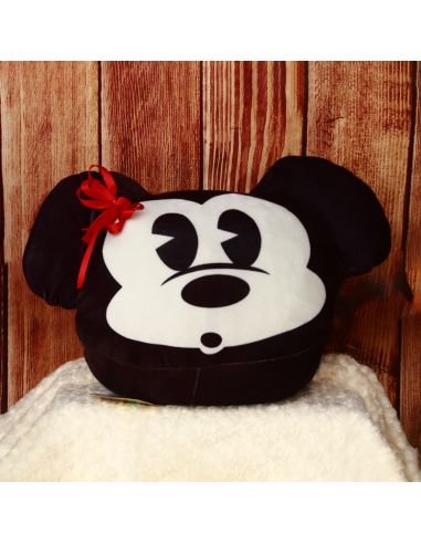 Mickey Mouse's Pillow
