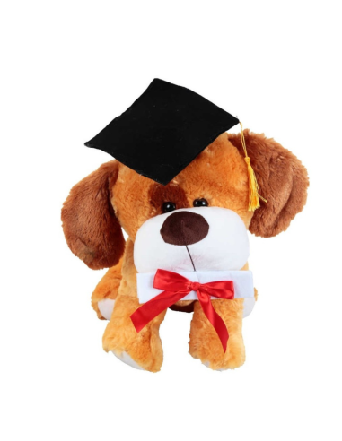 Great puppy graduate
