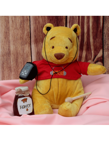 Winnie The Pooh with MP3 Player