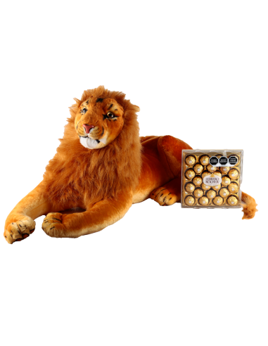 Lion with Mane and chocolates