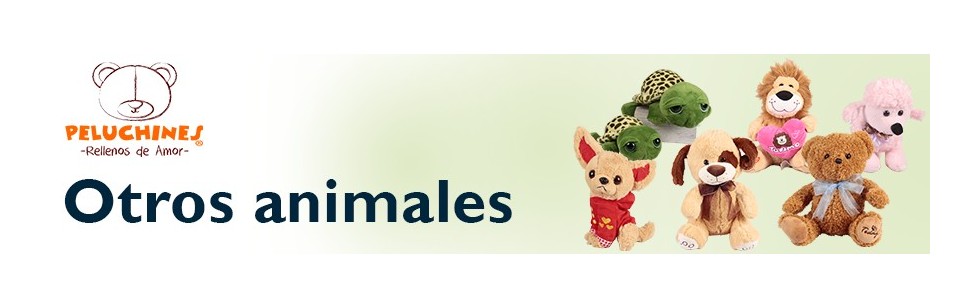 Send Plush Toys to any occasion, Chocolates and Personalized Gifts in Mexico.