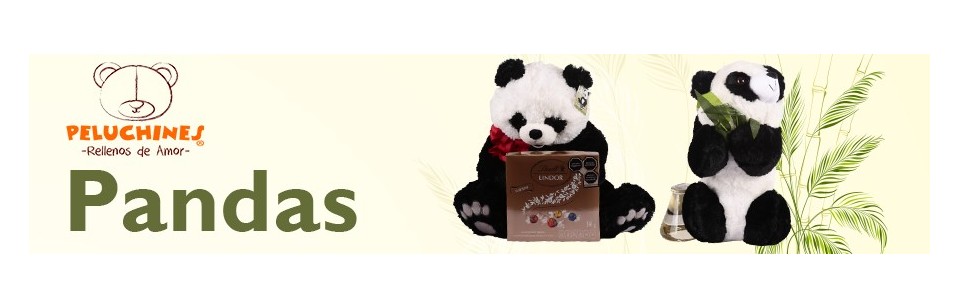Envía peluches de Pandas para cualquier ocasión a domicilio. Tienda de peluches en todo México
